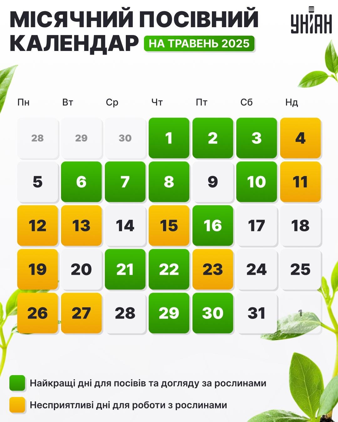Посівний календар на травень 2025 року - таблиця / картинка УНІАН Посівний календар на травень 2025 року - таблиця / картинка УНІАН
